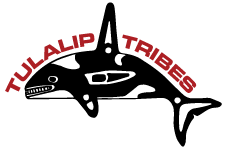 Tulalip Tribes Whale Logo